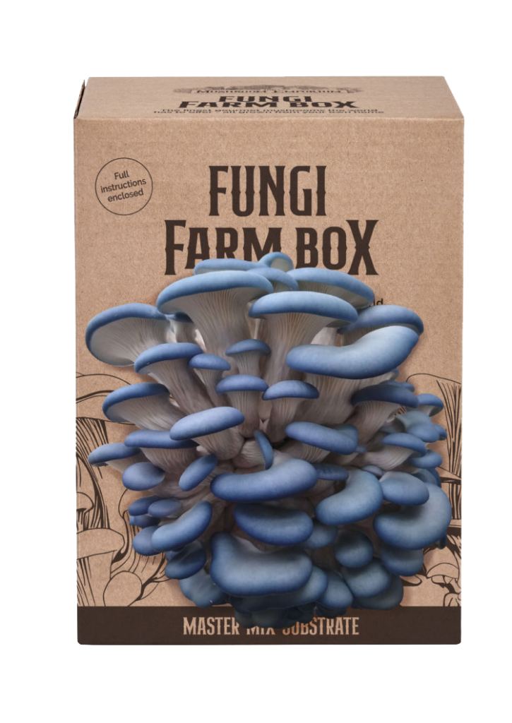 Sky Blue Oyster Mushroom Grow Kit